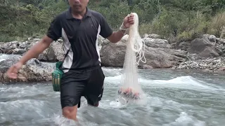 HIMALAYAN TROUT FISHING WITH CAST-NET IN NEPAL | FRESHWATER FISHING | SMALL RIVER FISHING | ASALA |