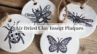 Air Dried Clay Insect plaques