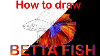 How to draw fish | Betta fish | procreate| digital art| Digital painting| time lapse| art therapy