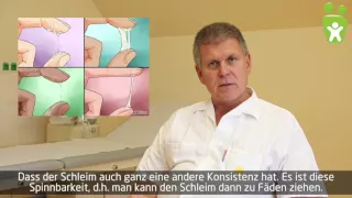 FERTILITÄT: Die Bestimmung des Eisprungs