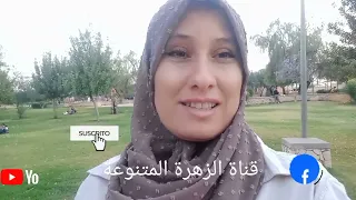 ردي على اكشوان إكنوان سراق زيت خاصك عجنحين