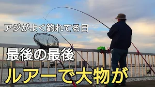 アジがよく釣れてる日にルアーを投げたら最後の最後で大物が掛かるも…