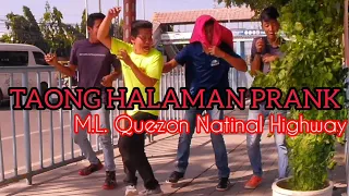TAONG HALAMAN PRANK: THE BEST REACTION OF MEN AT M.L. Quezon National Highway". 😂✌️❤️
