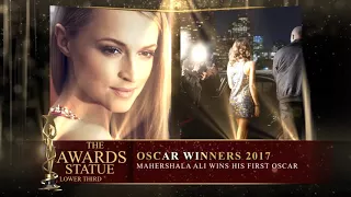 The Awards Statue Package