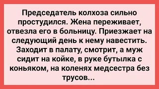 Жена Застала Председателя с Медсестрой на Коленях! Сборник Свежих Смешных Жизненных Анекдотов!