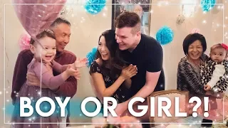 GENDER REVEAL || Baby Tiptoe 2! We're having a...