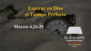 Esperar en Dios el Tiempo Perfecto | Marcos 4,26 29