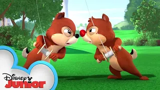 Kite-Tastrophy! | Chip 'N Dale's Nutty Tales | @disneyjunior