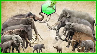 Elephants and Mammoths Size Comparison [LİVİNG EXTİNCT]