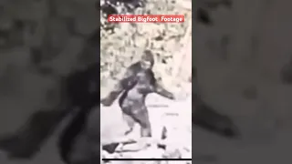 Stabilized footage of the Bigfoot film from 1967