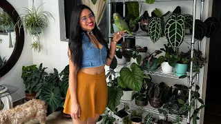 JARDÍN en APARTAMENTO EN PLENO CENTRO DE MEDELLÍN | Candy Bu