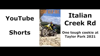 2021 Taylor Park Area, I Italian Creek Rd #Shorts