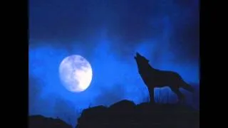 Wolf howling at night sound effect