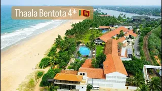 Thaala Bentota 4* пляжный отель на Шри Ланке #шриланка