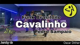 CAVALINHO - ZUMBA FITNESS - FUNK DO BRASIL - PEDRO SAMPAIO - GASPARZINHO - OSCAR DITHER - JEROKY