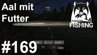 Auf Aale an der Alten Festung mit Aal Futter 🎣 🐋 | Russian Fishing 4 #169 | Deutsch | UwF