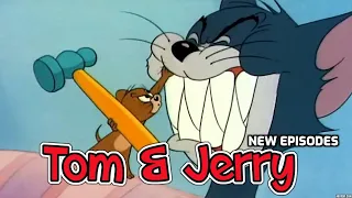 Tom and Jerry someones in the kitchen with mynah - B