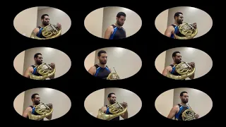 Can You feel the Love Tonight - Theme from "The Lion King" / Ralyton Almeida - French Horns