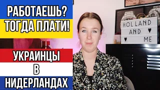 В Нидерландах работающие украинцы будут платить взнос!