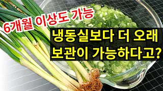 6개월 이상도 가능한 대파 최장기 보관법 / 냉동실보다 더 오래 보관이 가능하다고? / 대파 냉동보관할 때 ‘이것’ 하나면 얼어붙지 않아요!