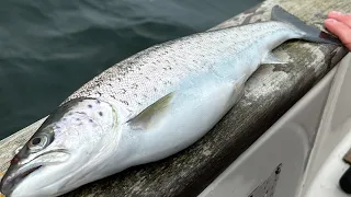 Havørrede fiskeri påsken 2024