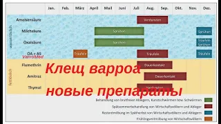 Клещ Варроа новые препараты для борьбы