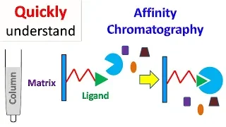 Affinity chromatography