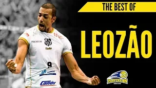 PLAYERS ON VOLLEYBALL  - The best of Leozão (Opposite/Oposto) 2018/2019
