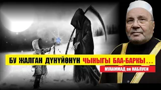 Бу жалган дүнүйөнүн чыныгы баа-баркы / Мухамад ан-Наблуси /  Котормо