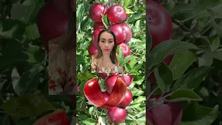 Red delicious apple#shortvideo#trending#viral#shorts#asmr