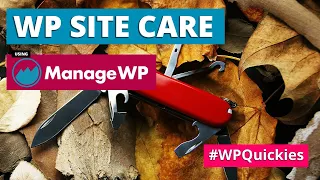 WordPress Site Care Using ManageWP - WPQuickies