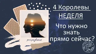 4 Королевы - НЕДЕЛЯ - что нужно знать? #таро #тароонлайн #любовь #психология #4королевы