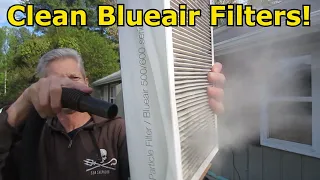 Cleaning Blueair Air Purifier Filters for the 10th Time!