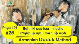 Eghniki pes tsur mi ashe (Եղնիկի պես ծուռ մի աշե) P107 Nr25  Armenian Duduk Method #armenianduduk