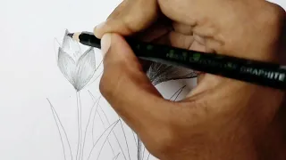 Beautiful Flower drawing 🌷||Pencil sketching ✏️