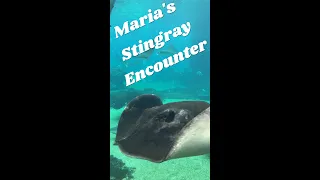 Maria Ofner's Inspirational Journey, Stingray and Shark Encounters. Please Subscribe Thank you.