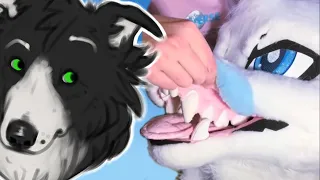 Furry Tiktoks that'll flip your switch