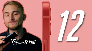 Стоит ли покупать iPhone 12? Что изменилось по сравнению с iPhone 11? Обзор iPhone 12!