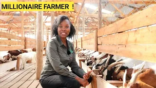 How To Make PROFITS In A Simple GOAT Farm Business | Farm Routine 2024