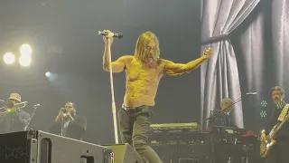 Iggy Pop - Rock Werchter 2023-06-29 *FULL SHOW*