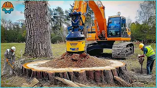 99 AMAZING Biggest Stump Removal Excavator At Another Level | Best Of The Week