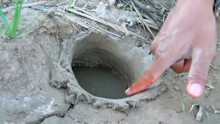 Amazing Fishing Technique - Unbelievable Fishing Catch Fish From Underground Hole With Snake