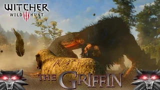 The Witcher 3: Wild Hunt - THE GRIFFIN | LET'S PLAY #6