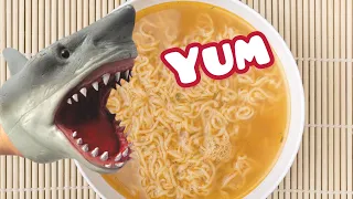 Shark Puppet makes Ramen Noodles