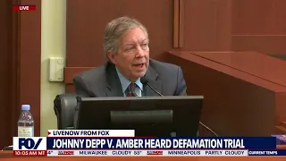 Johnny Depp witness: Amber Heard expert's testimony not anchored in facts | LiveNOW from FOX