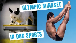 Disappointment in Dog Sports: Mindset With Olympian Greg Louganis #84