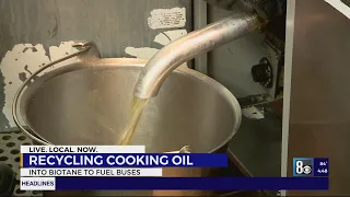 How recycled cooking oil can be used beyond the kitchen