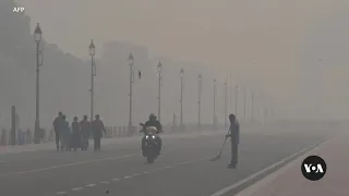 New Delhi's Deadly Air Pollution Prompts Some to Quit City