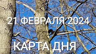 21 февраля 2024 | карта дня | все знаки зодиака 🃏🍀💫