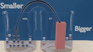 Galvanic cells explained -in UNDER 5 MINUTES.